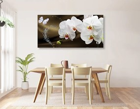 Quadro su tela – Orchidea e farfalla