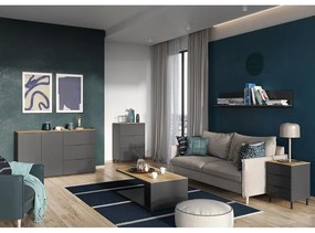 Cassettiera alta grigia in rovere 109x146 cm California - Germania