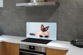 Pannello da cucina Gatto sdraiato 100x50 cm