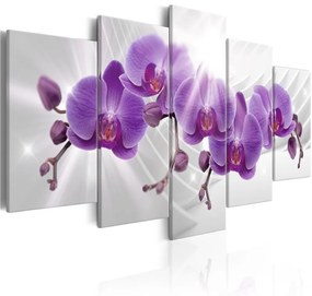 Quadro  Abstract Garden: Purple Orchis  Colore Bianco, Dimensioni e Misure 100x50