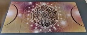 Quadri 5 pezzi – Mandala affascinante