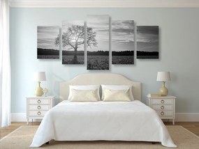 Quadri 5 pezzi – Albero solitario in bianco e nero