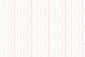 Carta da parati – Alberi di betulla rosa