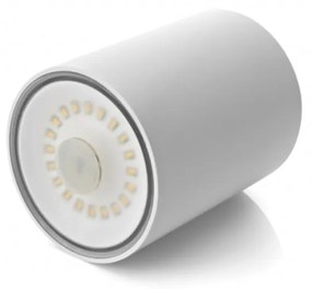 Kit luce a LED in alluminio verniciato bianco