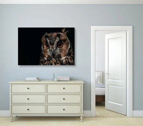 Quadro su tela – Gufo