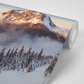 Carta da parati autoadesiva – Rozsutec sotto una coltre di neve
