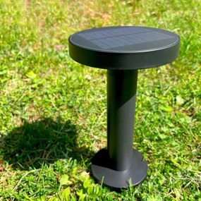 Zuma Line DT33611 - Lampada solare LED CARLI LED/2W/2000 mAh IP44 nero