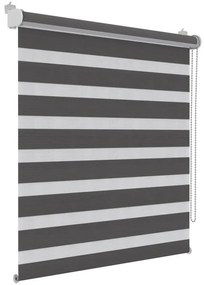 Tenda a rullo giorno / notte Orleans antracite 120x190 cm