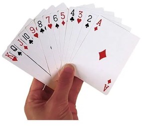 Carte da gioco The Big Five - Cards - RecentToys