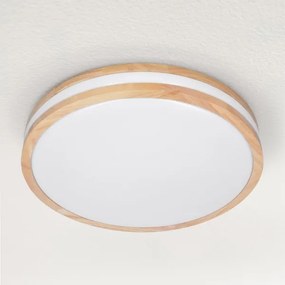 Brilagi - Lampada LED da soffitto dimmerabile MOLINA LED/48W/230V 3000-6500K + D