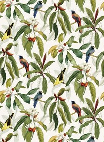 Osborne & Little Tapete Michelia - Ivory