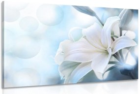 Quadro su tela – Fiore bianco di giglio su sfondo astratto
