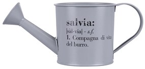 Annaffiatoio porta piantine con scritta salvia Victionary