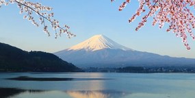 Quadro su tela – Vista dal lago sul Fuji
