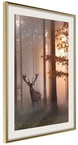 Poster  Forest Seclusion  Cornice Quadri Cornice d'oro con passe-partout, Larghezza x Altezza Home decor 20x30