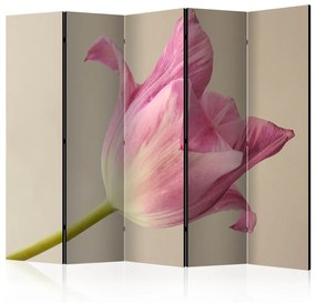 Paravento Tulipano rosa II (5 pezzi) - tulipano rosa su sfondo beige