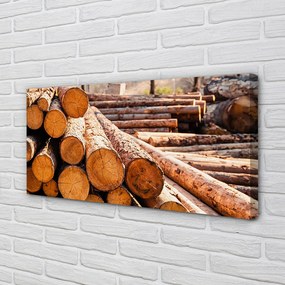 Quadro su tela Palline di composizione in legno 100x50 cm