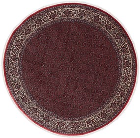 Bidjar Tappeto persiano 220x220 (Iran) Annodato A Mano