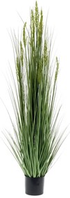 Erba Di Grano Artificiale 150 Cm /