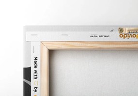 Stampa su tela – Motivo astratto in bianco e nero