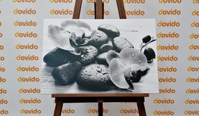 Quadro su tela – Bella armonia di pietre e orchidee in bianco e nero