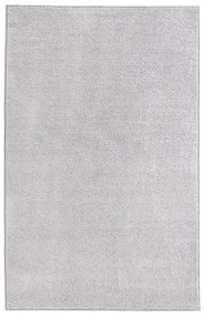 Tappeto grigio chiaro , 140 x 200 cm Pure - Hanse Home