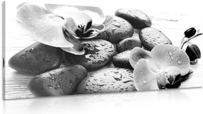 Stampa su tela – Magica armonia di pietre e orchidee in bianco e nero