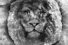 Carta da parati – Volto di leone in bianco e nero