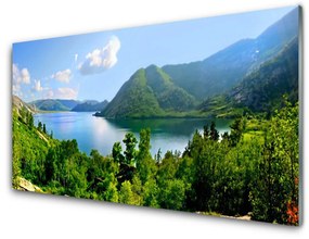 Quadro acrilico Paesaggio di montagna del lago forestale 100x50 cm