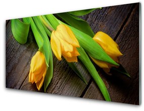 Quadro su vetro Fiori di tulipani 100x50 cm