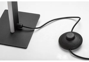 Rabalux 74195 - Lampada da terra dimmerabile a LED SINDRI LED/33W/230V 3000/4000K nero