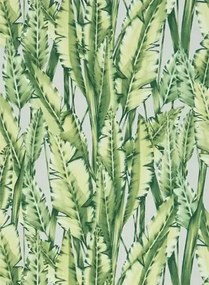 Osborne & Little Carta da parati Tiger Leaf - Green