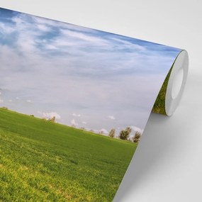 Carta da parati – Paesaggio incantevole