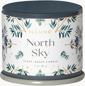 Candela profumata North Sky (agrumi, ribes, legno di ebano)