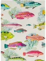 Manuel Canovas Carta da parati Fidji - Corail