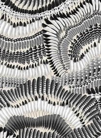 Christian Lacroix Tapete Prete Moi Ta Plume - Jais