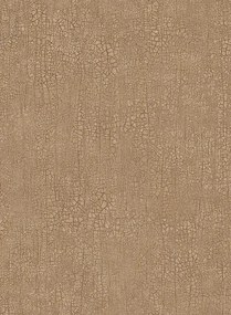 Boras Tapete Raku - 3106