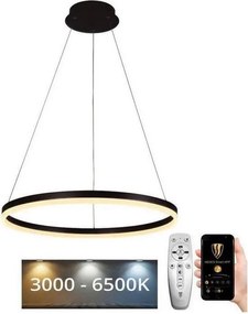 Brilagi - Lampadario LED dimmerabile sospeso su cavo CIRCLE LED/42W/230V 3000-6500K + telecomando