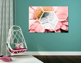 Quadro su tela – Gerbera in esagono