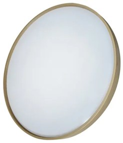 Plafoniera LED dimmerabile DRINA LED/36W/230V 2700-6500K + telecomando