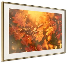 Poster  Golden Autumn  Cornice Quadri Cornice d'oro con passe-partout, Larghezza x Altezza Home decor 30x20