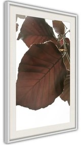 Poster  Burgundy Tilia Leaf  Cornice Quadri Cornice nera con pass-partout, Larghezza x Altezza Home decor 20x30