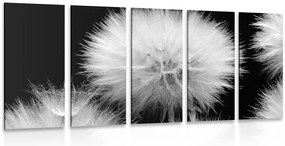 Quadri 5 pezzi – Dente di leone in bianco e nero