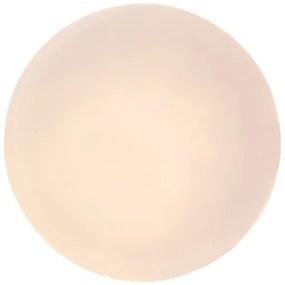 Rabalux 77133-LED Plafoniera da bagno LOWAR LED/12W/230V IP44 3000/4000/6000K