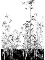 Edmond Petit Tapete Tournesol droit - Blanc et Noir