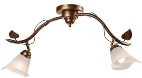 Luce Spot BLUSZCZ 2xE14/40W/230V