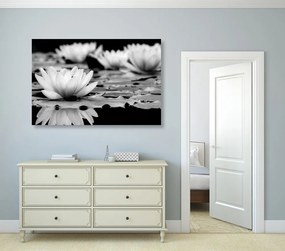 Stampa su tela – Fiore di loto in bianco e nero