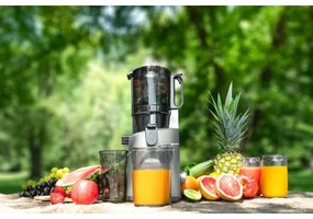 Concept LO7120 - Spremiagrumi lento JUICY 250W/230V grigio