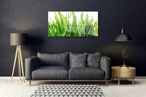 Quadro acrilico L'erba La pianta 100x50 cm