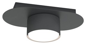 Lampada Da Soffitto 1 Luce Diaz In Acciaio Nero Diffusore A Cilindro